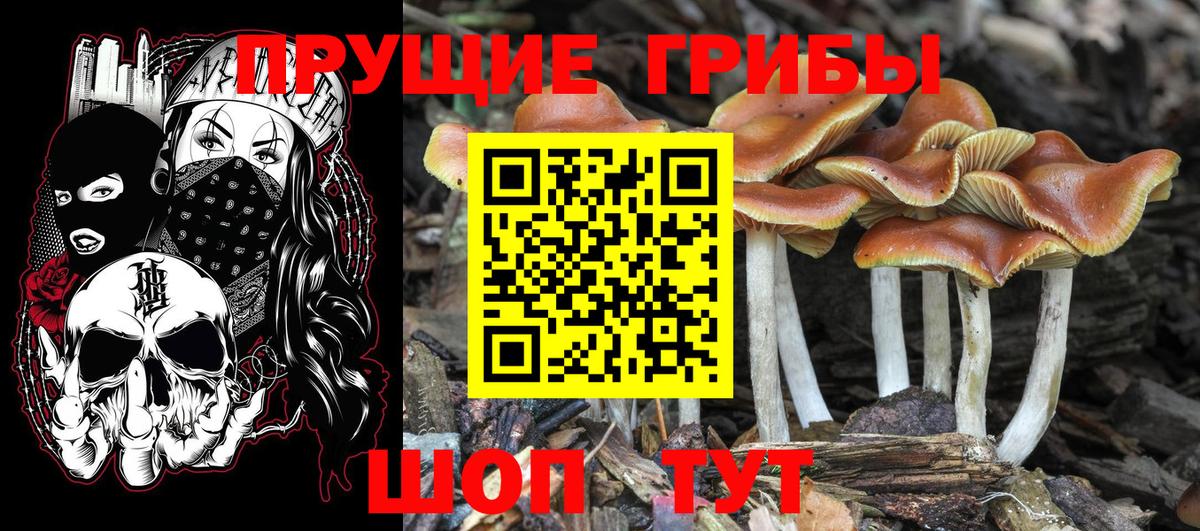 Сыктывкар  Псилоцибиновые грибы мухоморы  Галлюциногенные грибы прущие грибы  Вход с VPN 