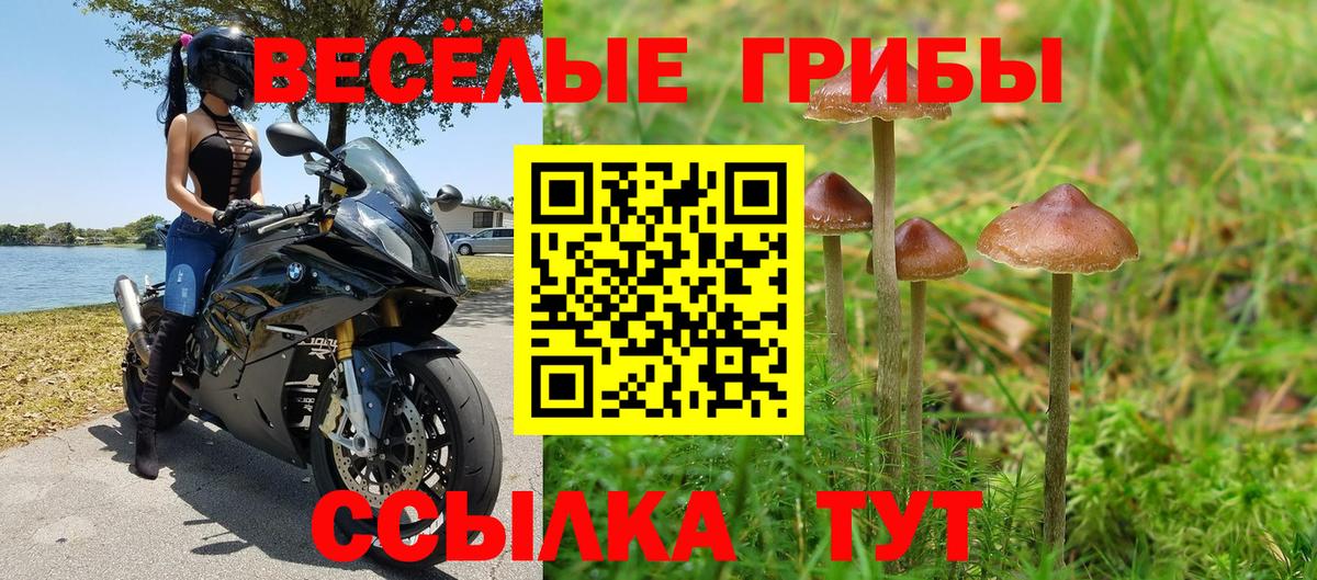 Cocaine  Вход с VPN  А ПВП СК кристаллы  ГАШ  Сыктывкар  Марихуана  Конопля  МЕФ  