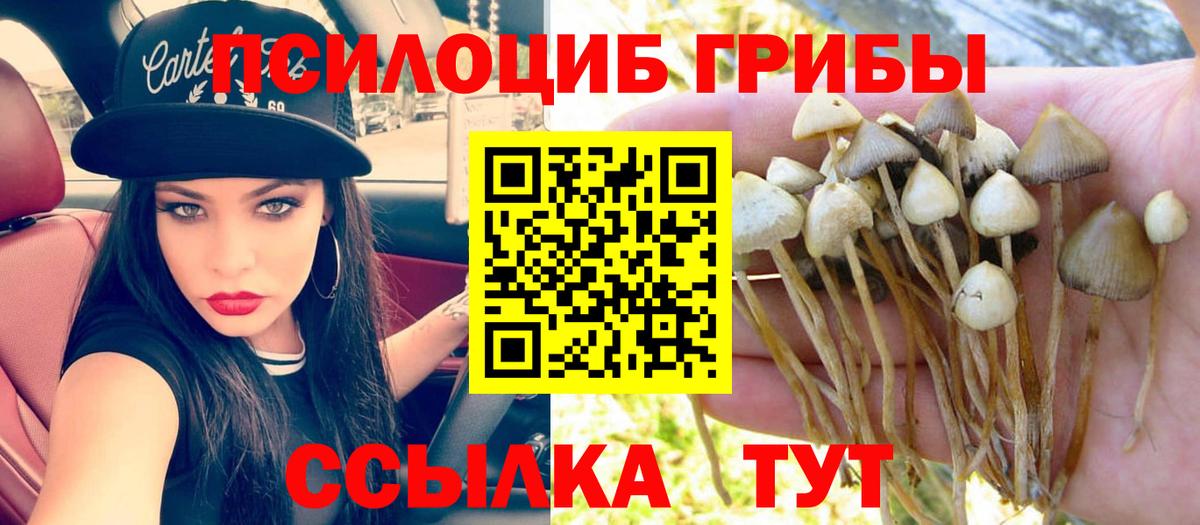 Галлюциногенные грибы ЛСД Сыктывкар